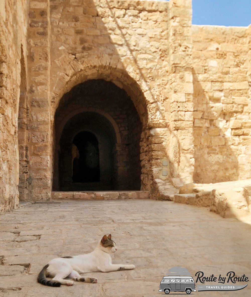 Gato en el interior de la entrada a Fortaleza Ghazi Mustapha en la isla de Djerba