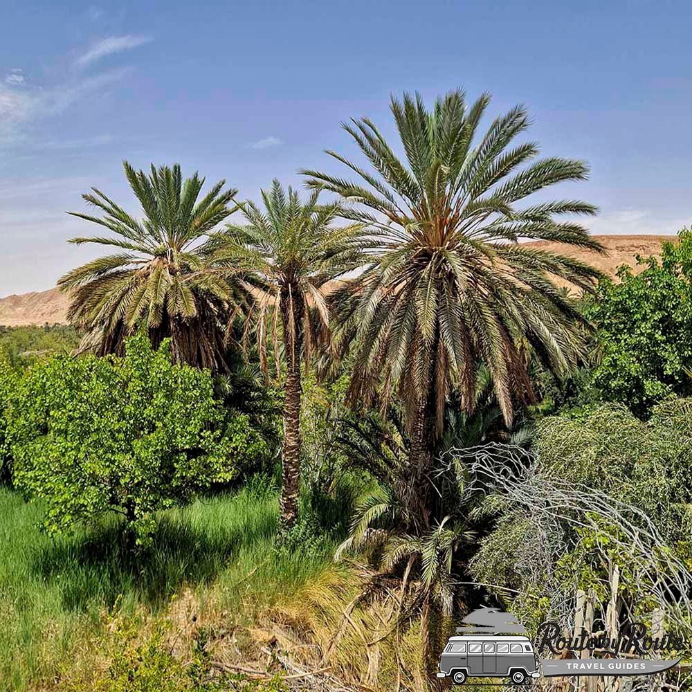 Zona de baño natural en las cascadas del oasis de Tamerza