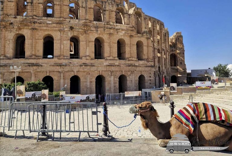 Anfiteatro de el Djem con un dromedario sentado